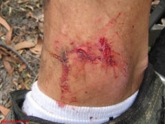 20070114-Coba 202 